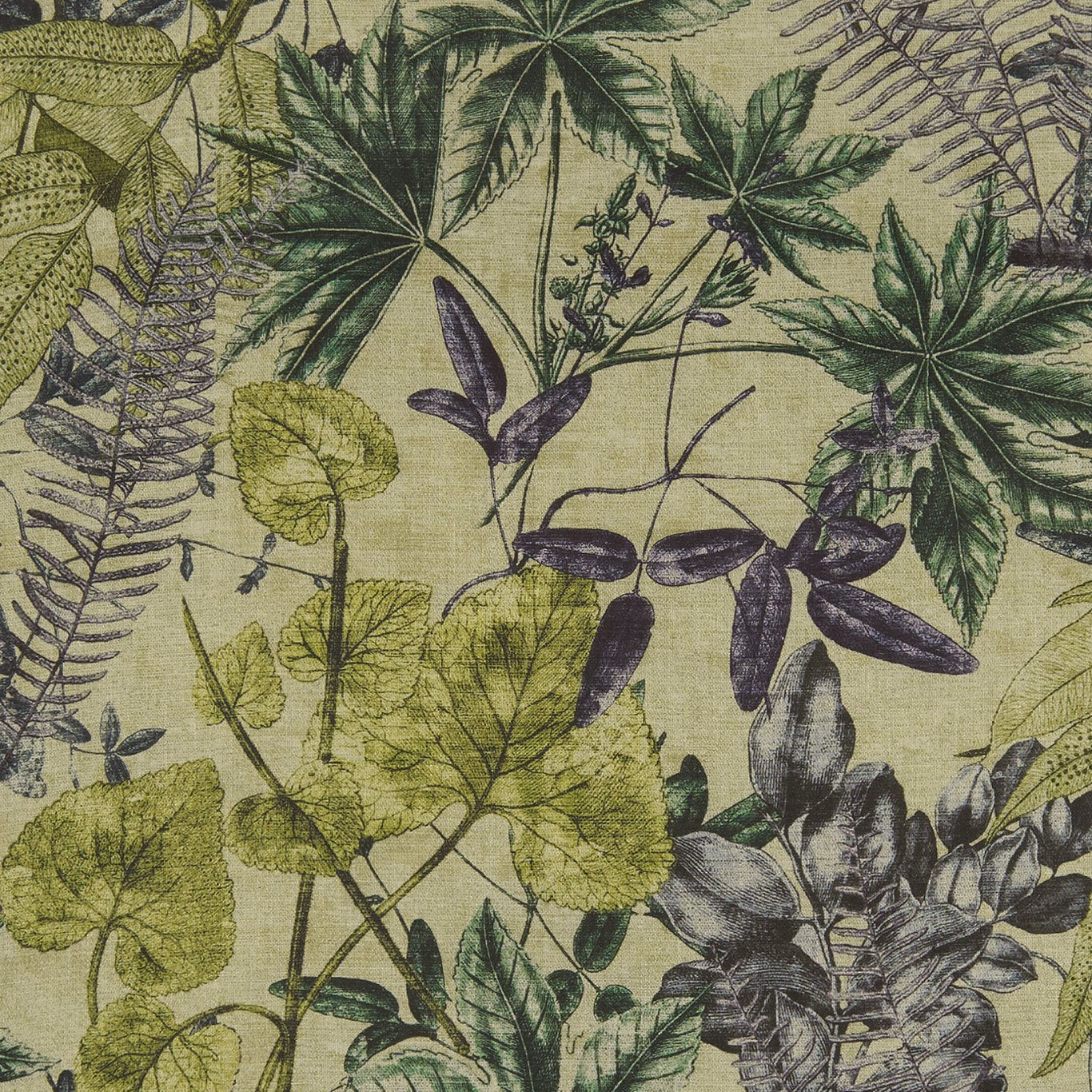 Madagascar Fabric by Clarke & Clarke