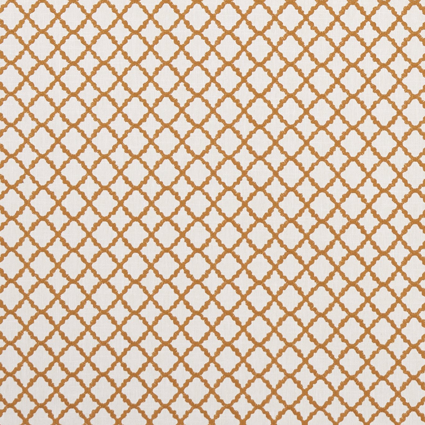 Ariyana Fabric by Clarke & Clarke - F1364/08 - Spice