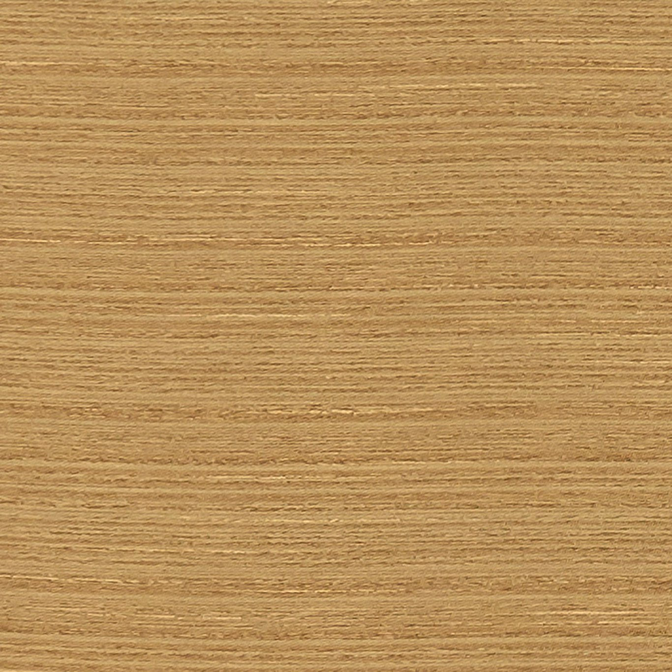Havana Fabric by Clarke & Clarke