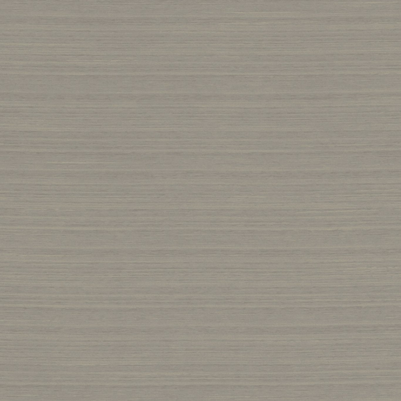 Havana Fabric by Clarke & Clarke