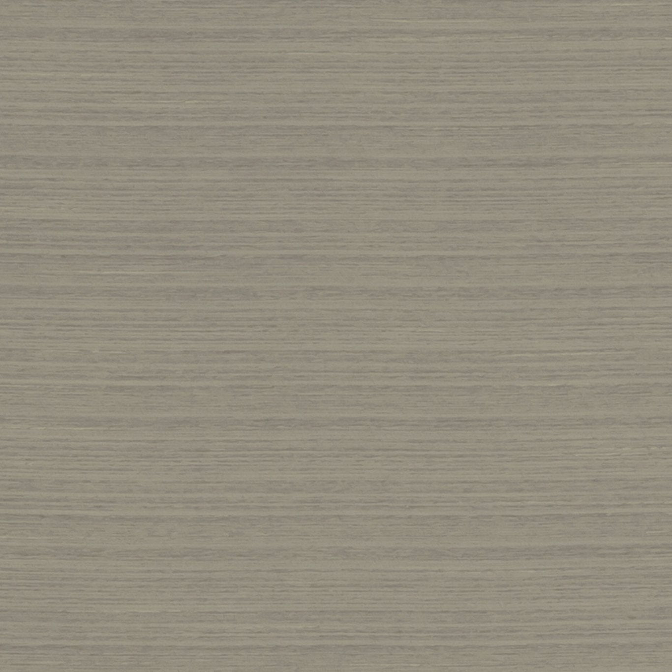 Havana Fabric by Clarke & Clarke