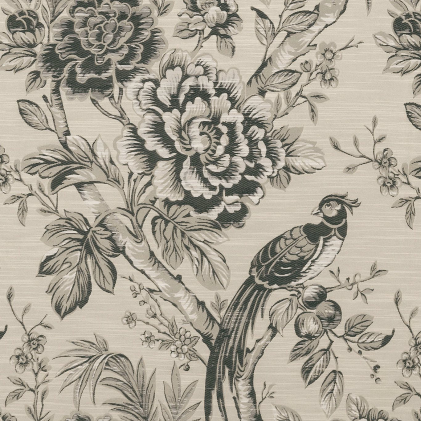 Avium Fabric by Clarke & Clarke - F1429/02 - Charcoal