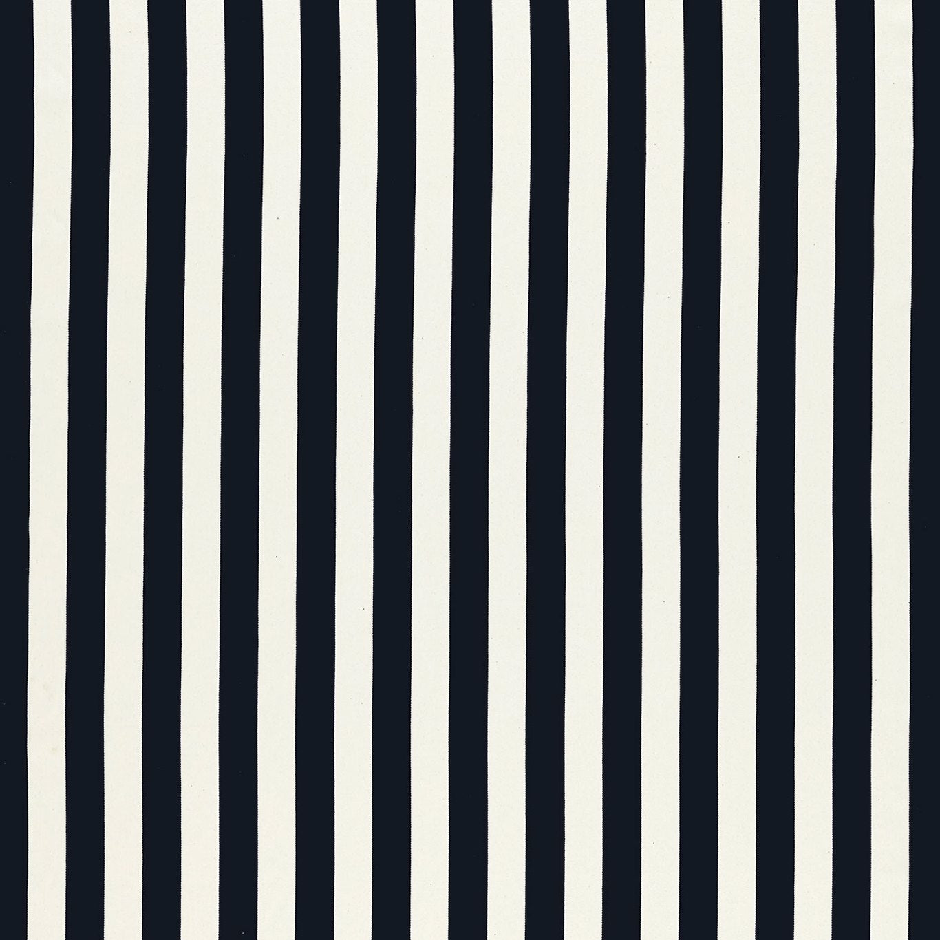 Portland Fabric by Clarke & Clarke