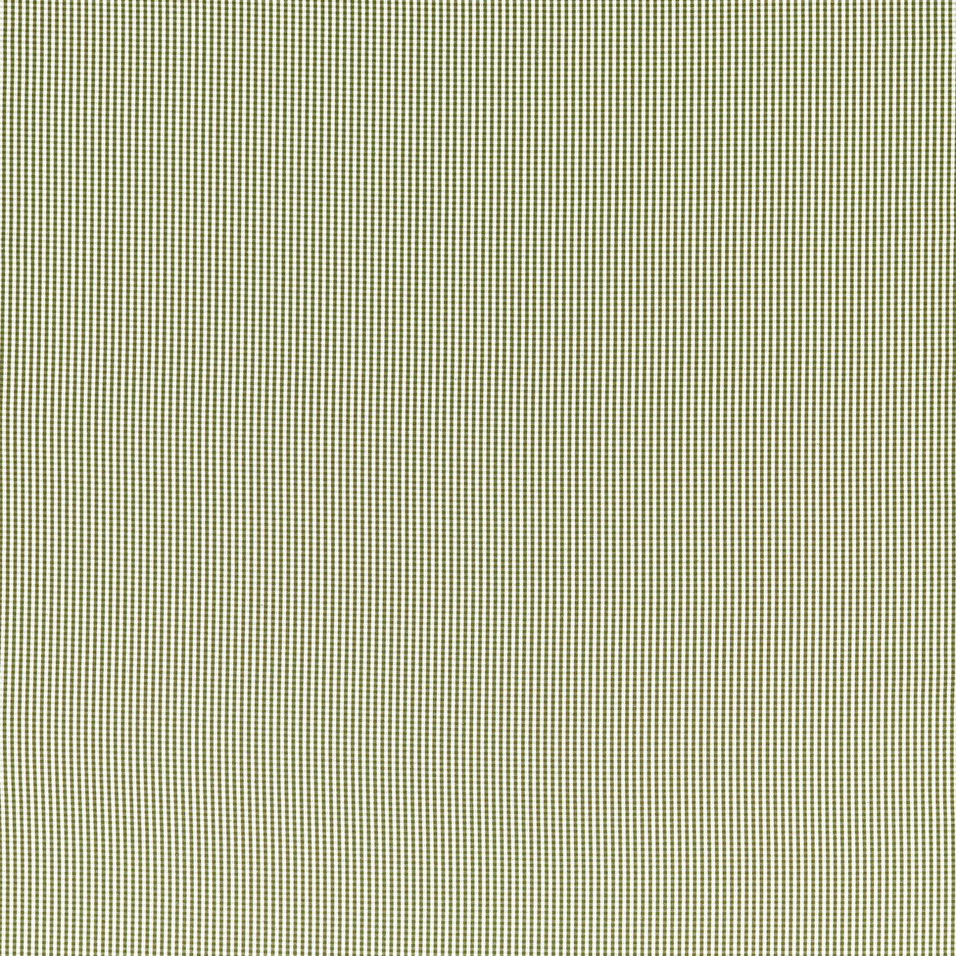 Windsor Fabric by Clarke & Clarke