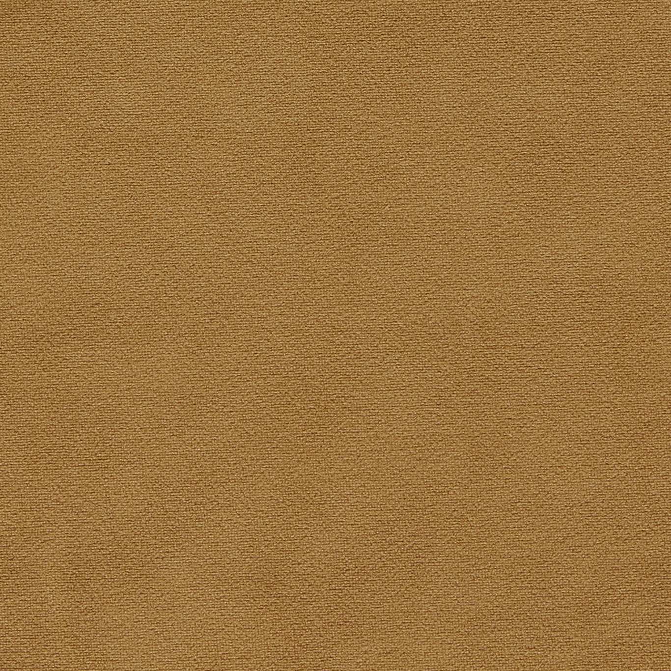 Miami Fabric by Clarke & Clarke