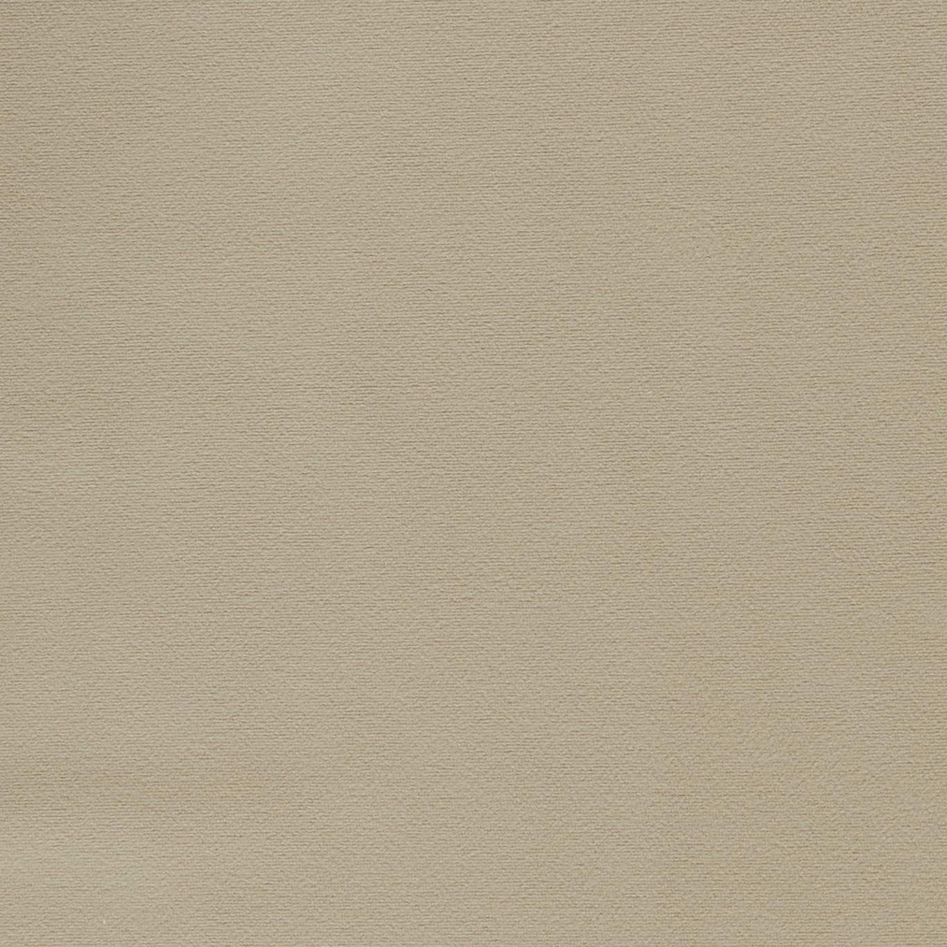 Miami Fabric by Clarke & Clarke
