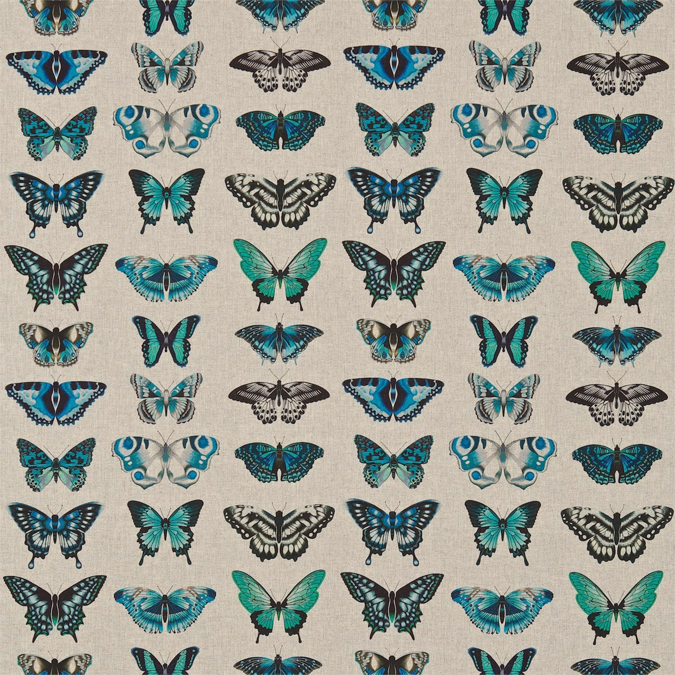 Papilio Fabric by Harlequin