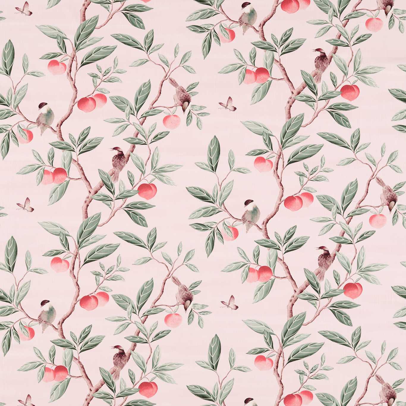 Ella Fabric by Harlequin - HDHP121112 - Powder/ Sage / Peach