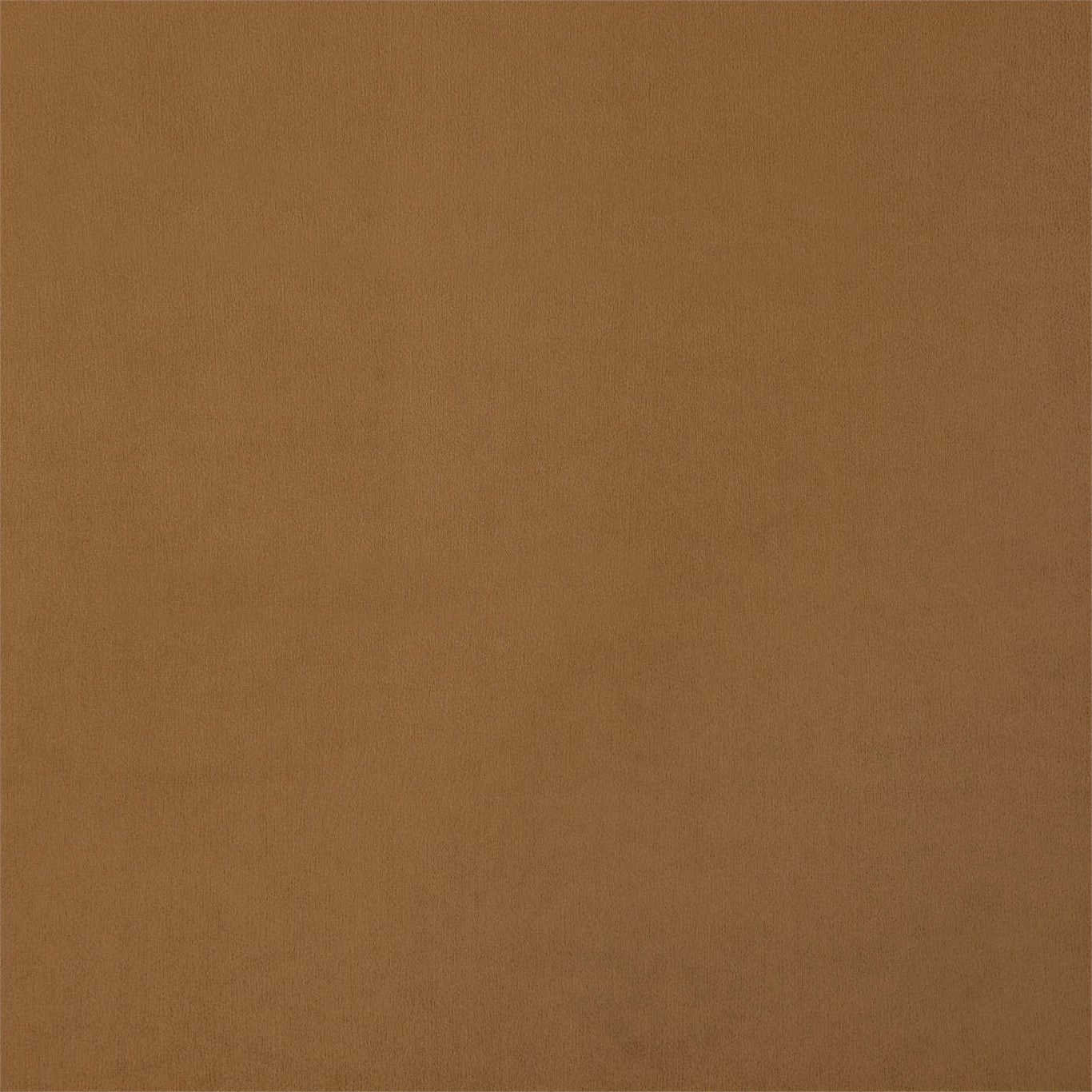 Entity Plains Fabric by Harlequin