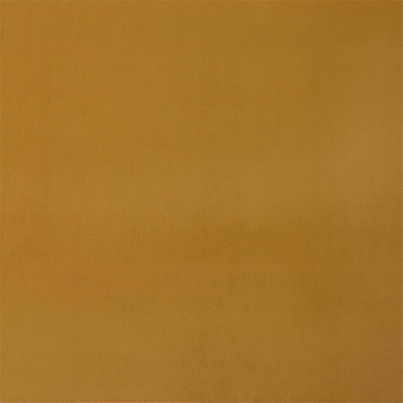 Entity Plains Fabric by Harlequin