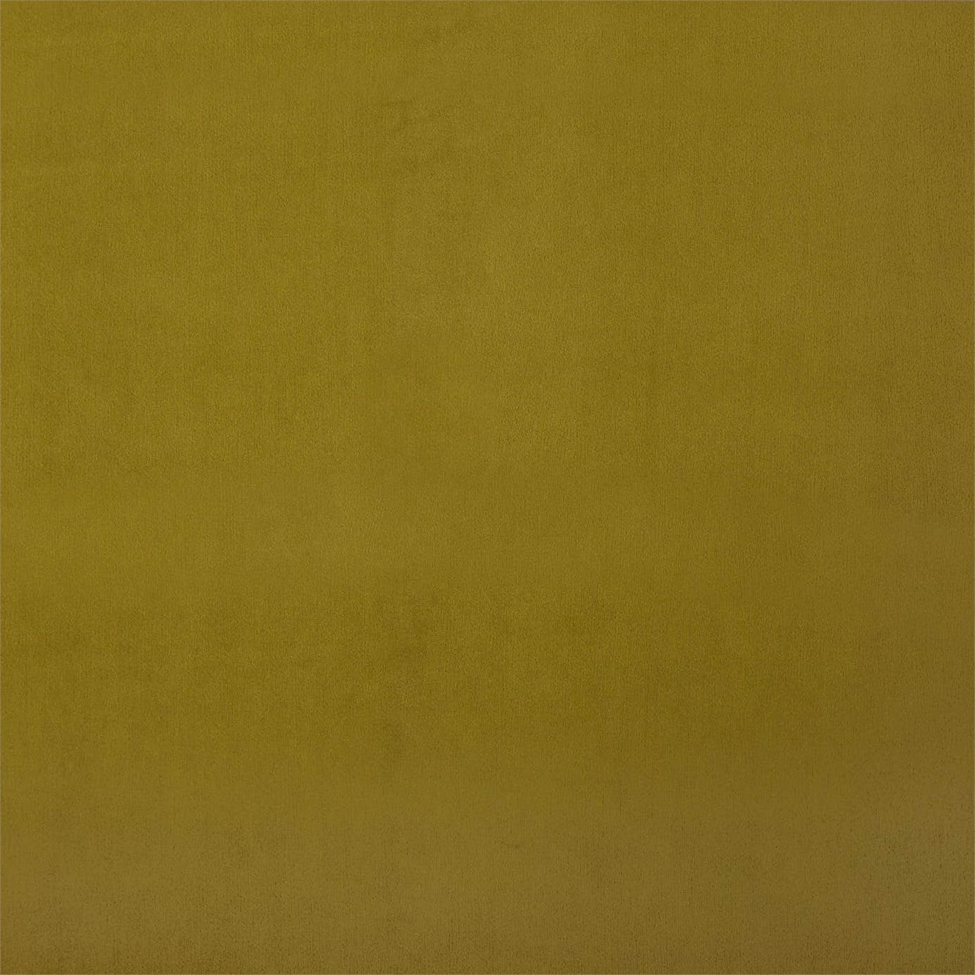 Entity Plains Fabric by Harlequin