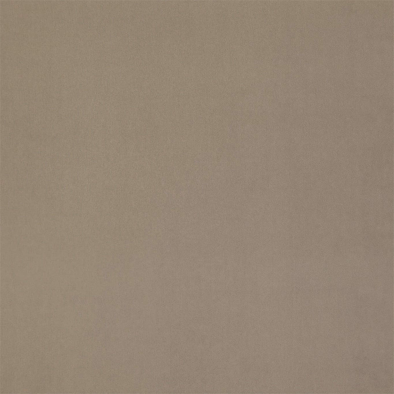 Entity Plains Fabric by Harlequin