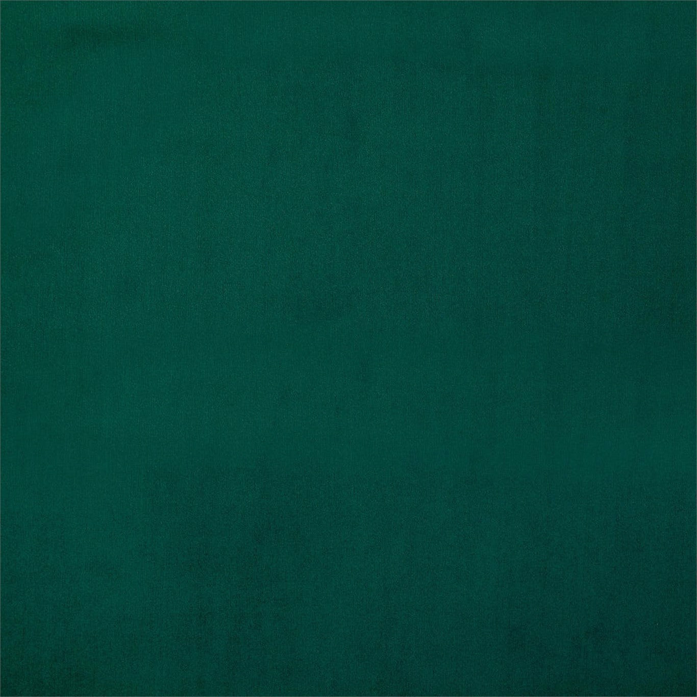 Entity Plains Fabric by Harlequin