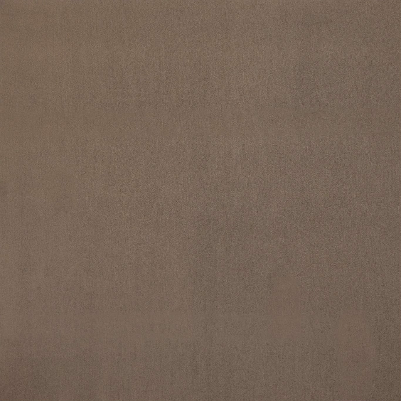 Entity Plains Fabric by Harlequin