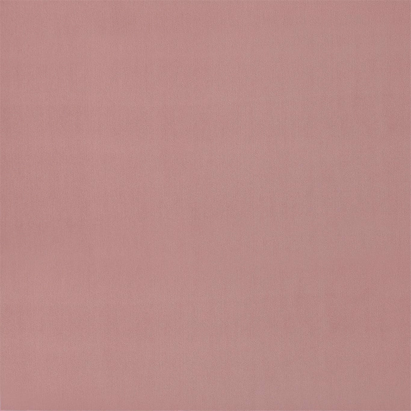 Entity Plains Fabric by Harlequin
