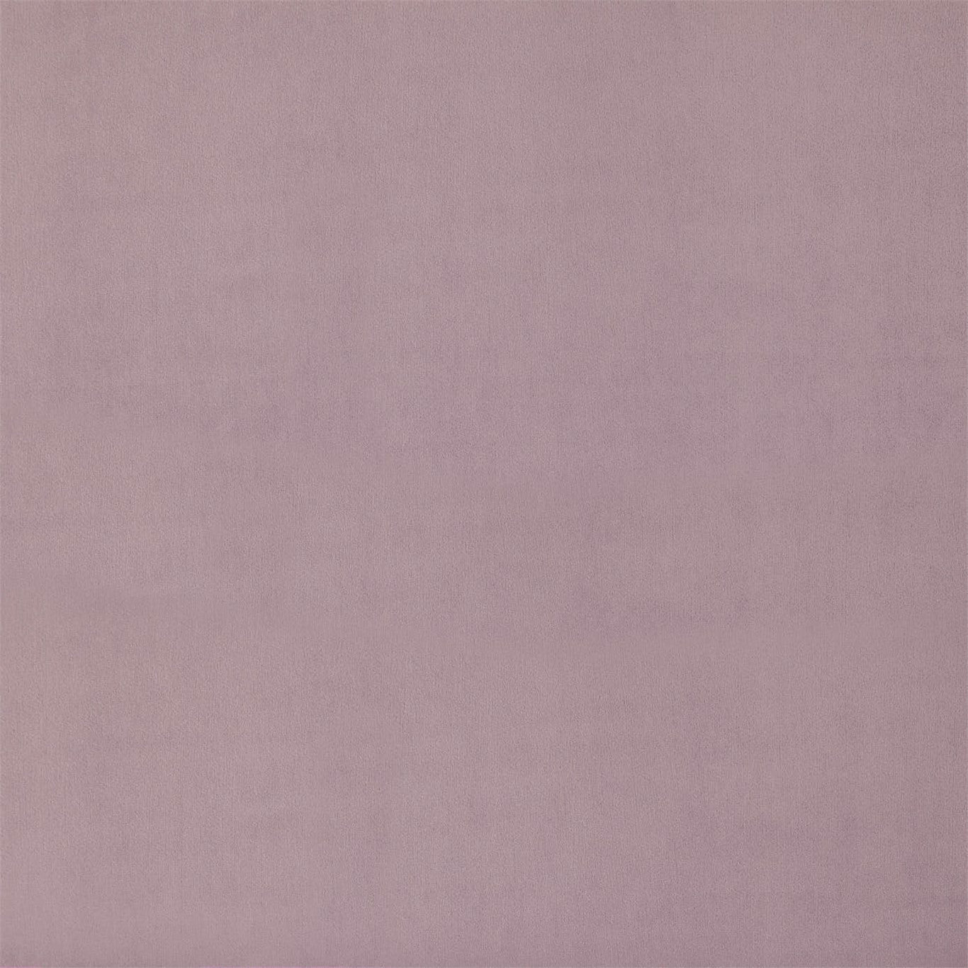 Entity Plains Fabric by Harlequin