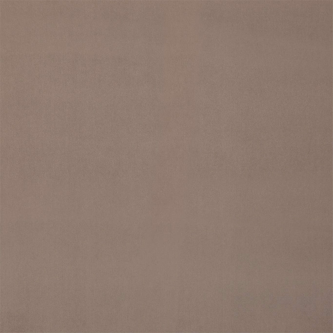 Entity Plains Fabric by Harlequin