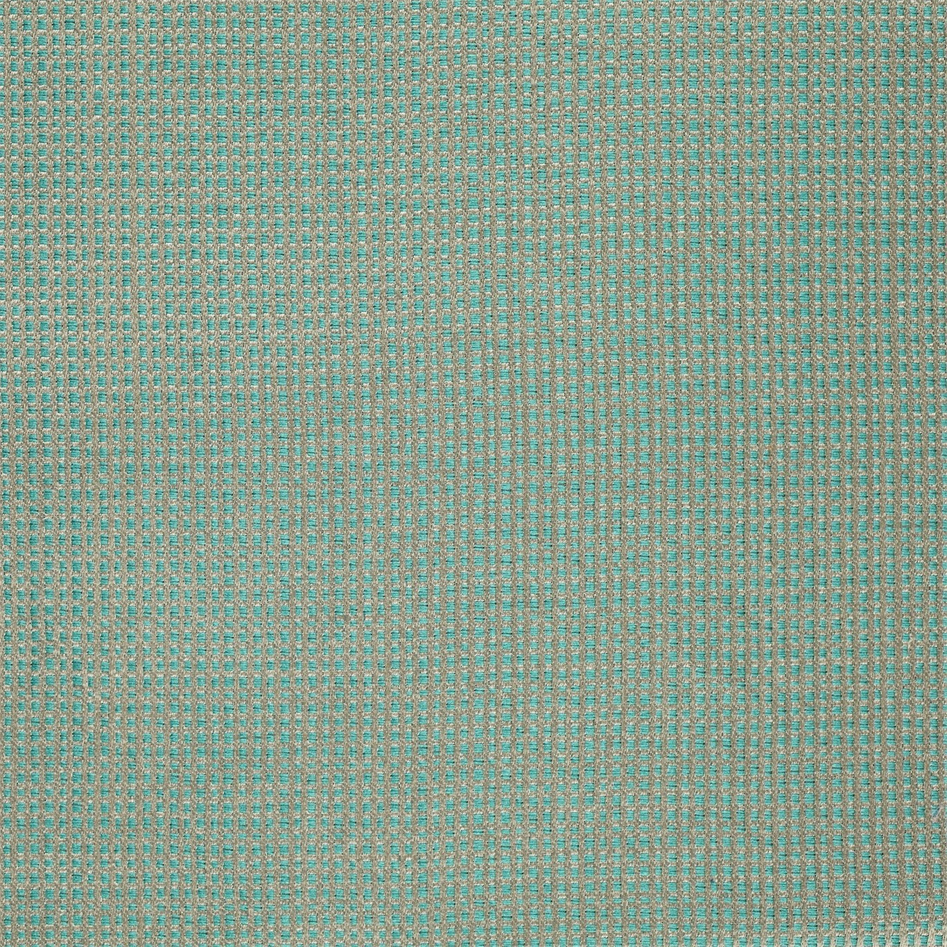 Momentum Accents Fabric by Harlequin