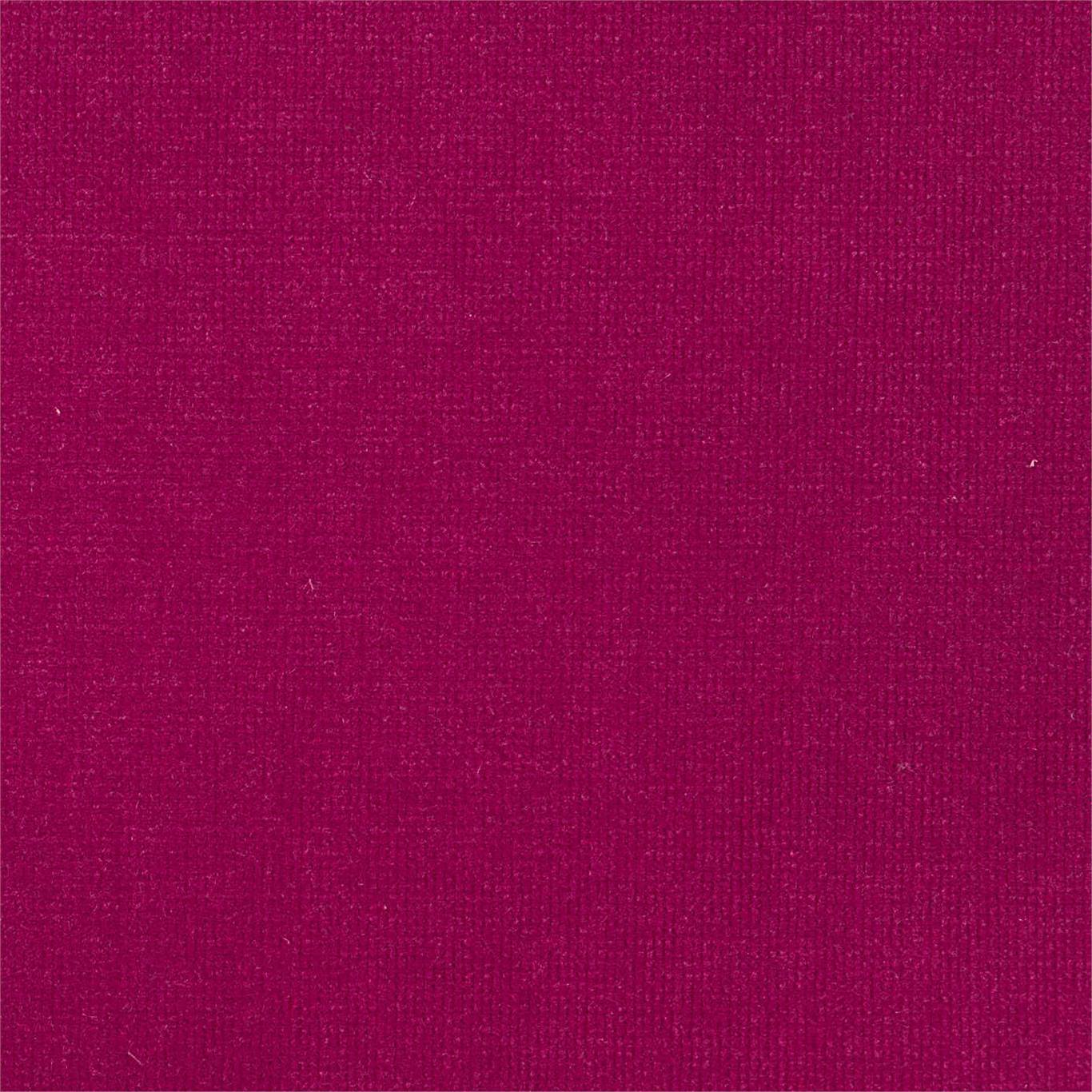 Plush Velvet Fabric by Harlequin