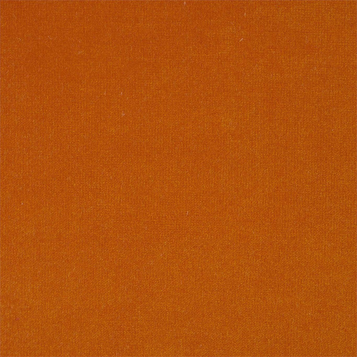Plush Velvet Fabric by Harlequin
