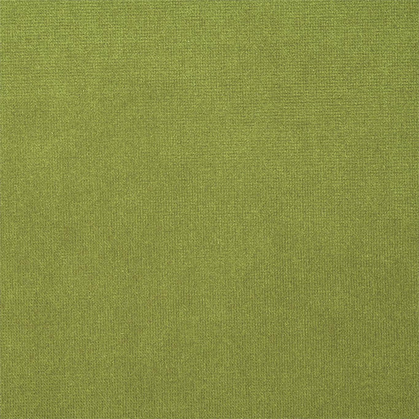 Plush Velvet Fabric by Harlequin