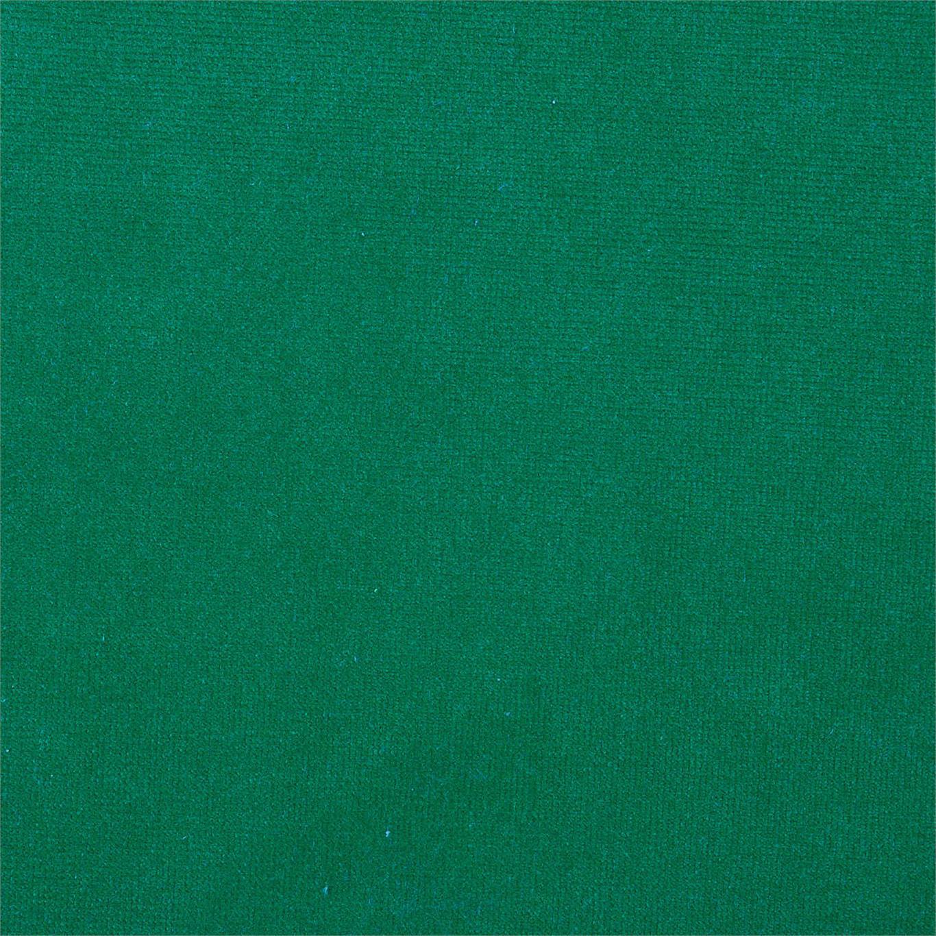 Plush Velvet Fabric by Harlequin