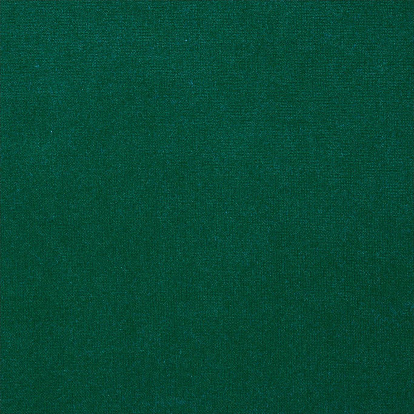 Plush Velvet Fabric by Harlequin