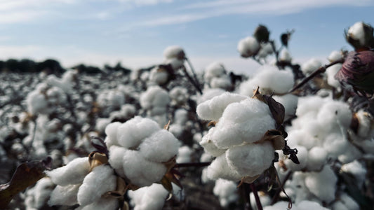 How Is Cotton Made Into Fabric?