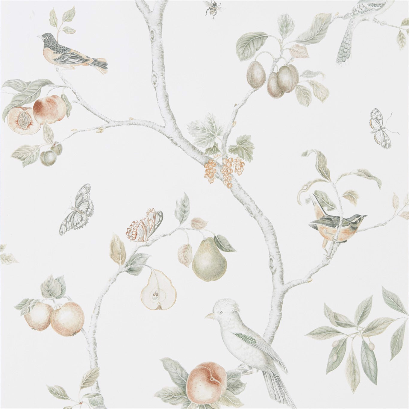 Fruit Aviary Wallpaper by Sanderson