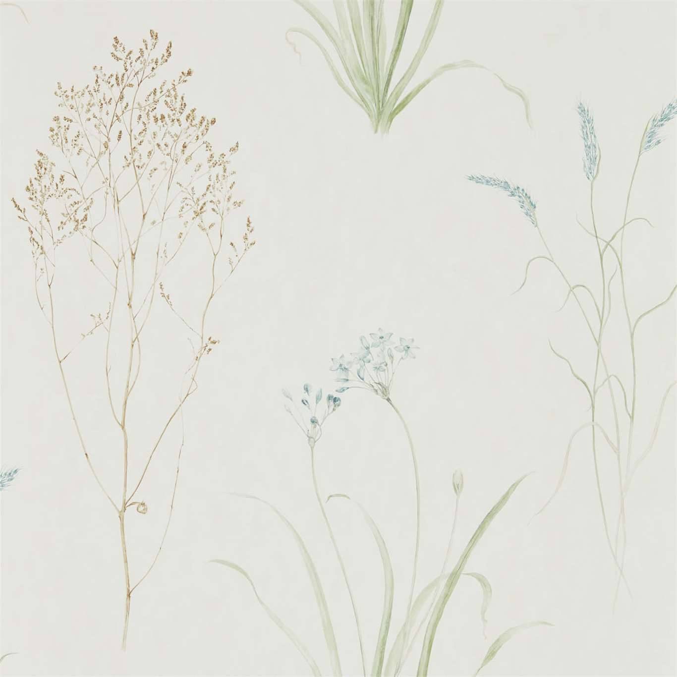 Farne Grasses Wallpaper by Sanderson