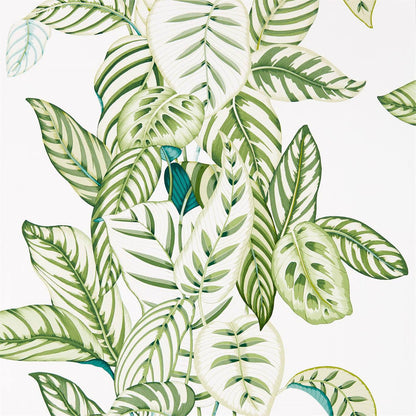 Calathea Wallpaper by Sanderson