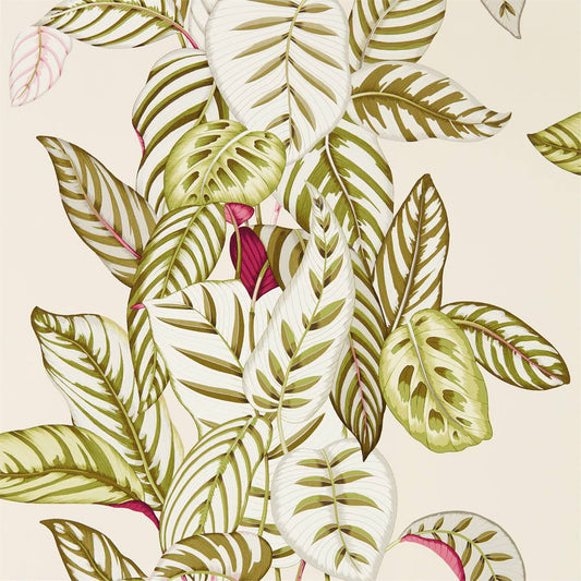 Calathea Wallpaper by Sanderson