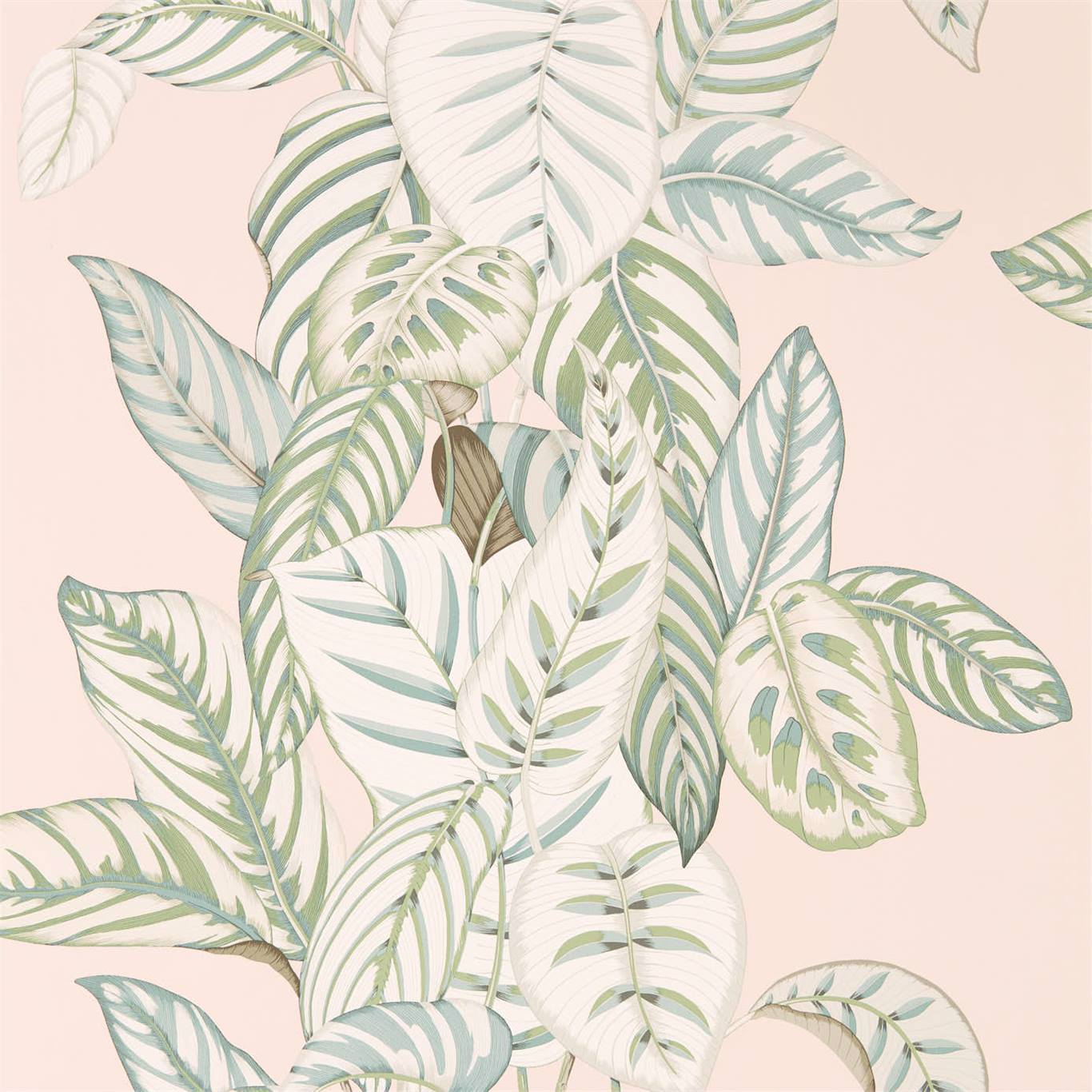 Calathea Wallpaper by Sanderson