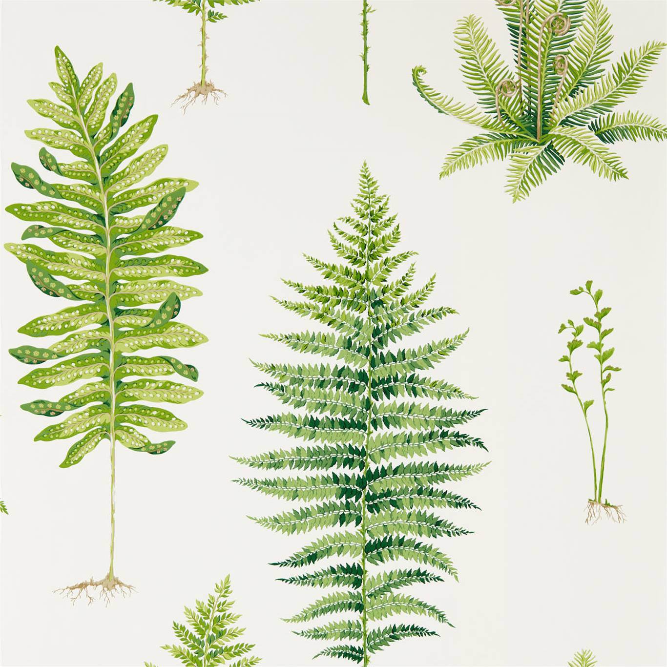 Fernery Wallpaper by Sanderson