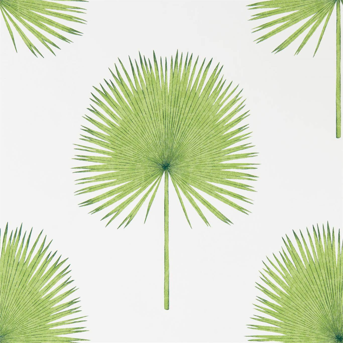 Fan Palm Wallpaper by Sanderson