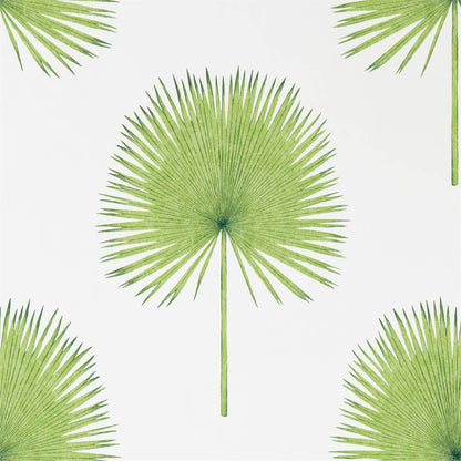 Fan Palm Wallpaper by Sanderson