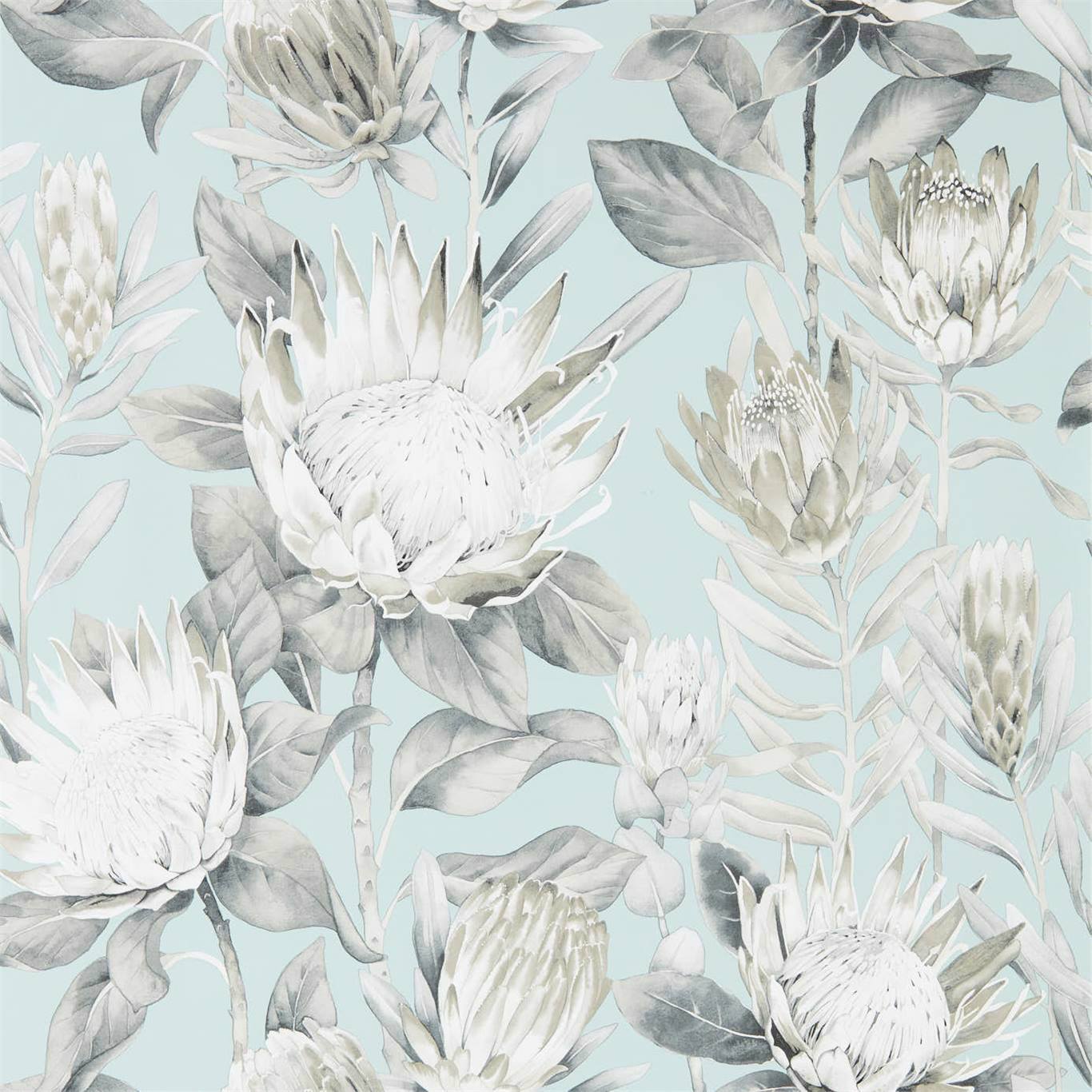 King Protea Wallpaper by Sanderson