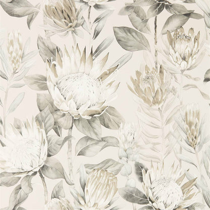 King Protea Wallpaper by Sanderson