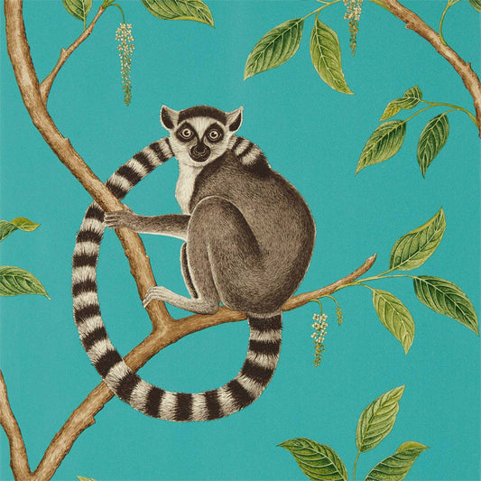 Ringtailed Lemur Wallpaper by Sanderson