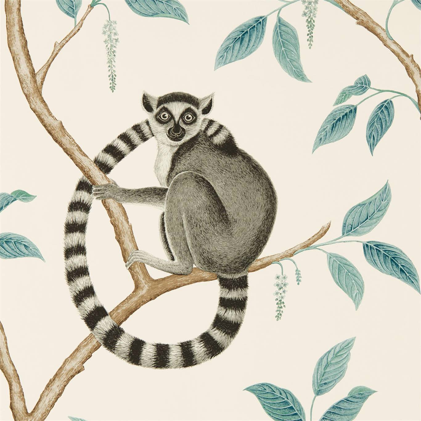 Ringtailed Lemur Wallpaper by Sanderson