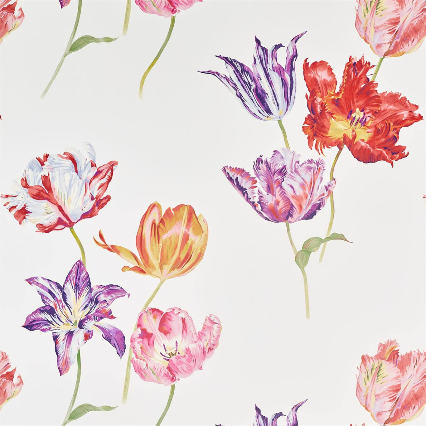 Tulipomania Wallpaper by Sanderson