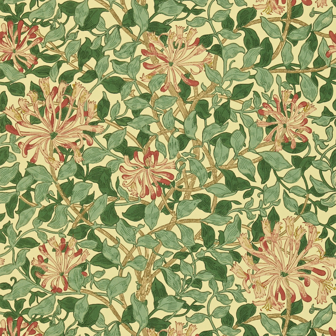 Honeysuckle Wallpaper by Morris & Co.