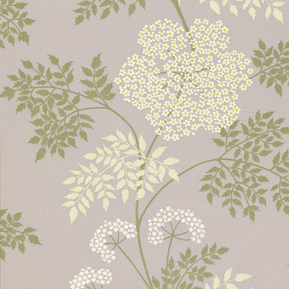 Cowparsley Wallpaper by Sanderson