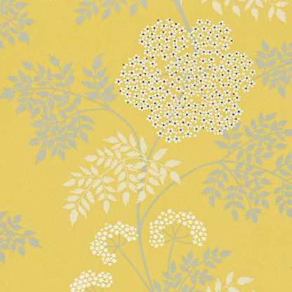 Cowparsley Wallpaper by Sanderson