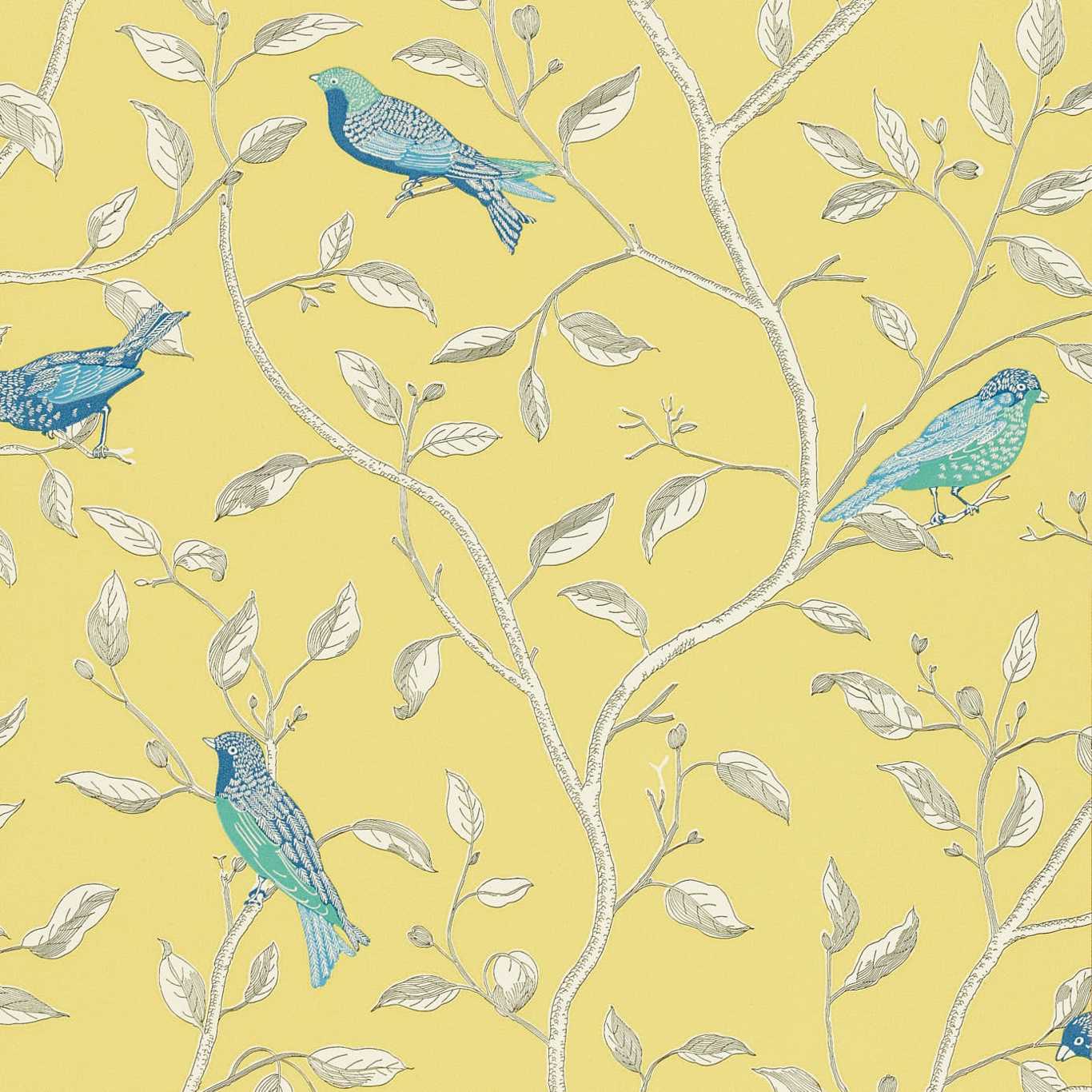 Finches Wallpaper by Sanderson