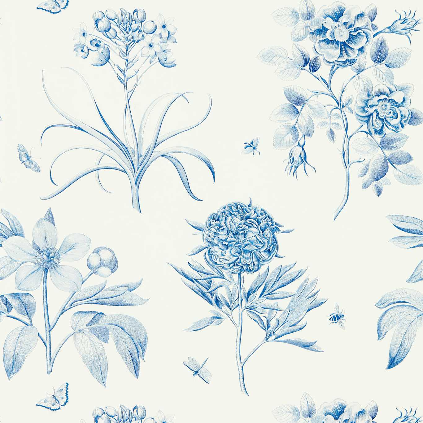 Etchings & Roses Wallpaper by Sanderson