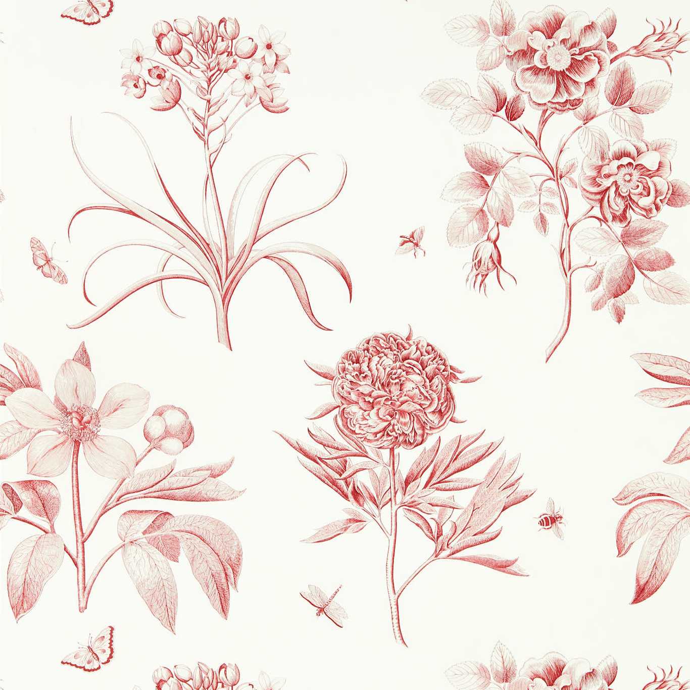 Etchings & Roses Wallpaper by Sanderson