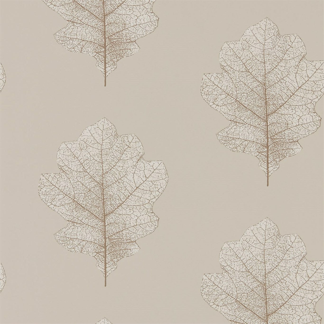 Oak Filigree Wallpaper by Sanderson