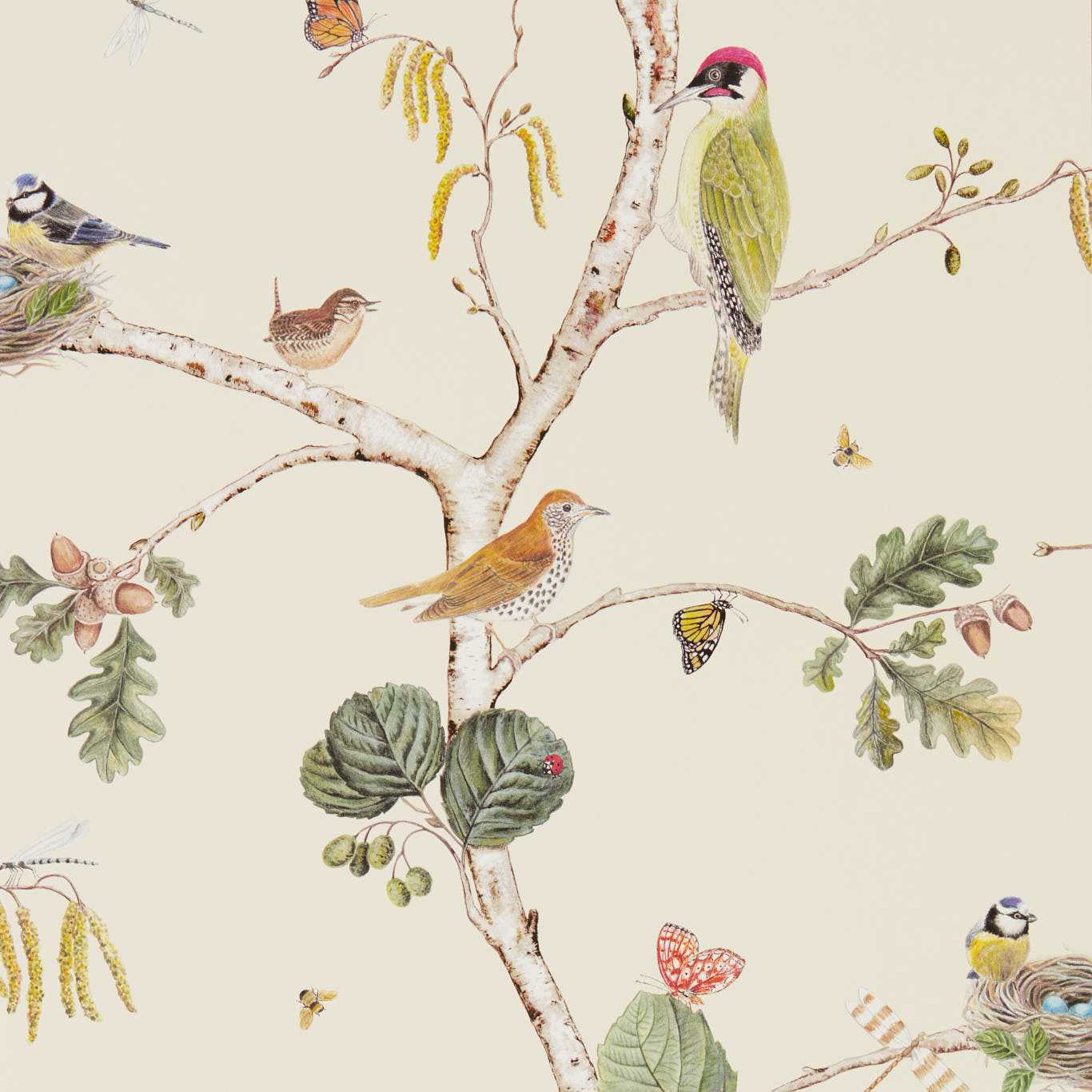 Woodland Chorus Wallpaper by Sanderson