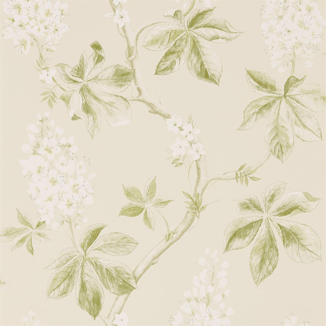 Chestnut Tree Wallpaper by Sanderson